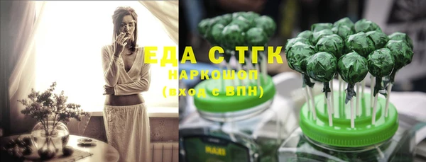 СК Алексин