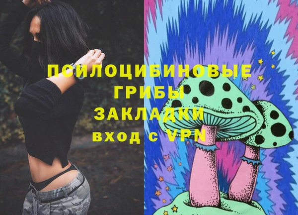 2c-b Алексеевка